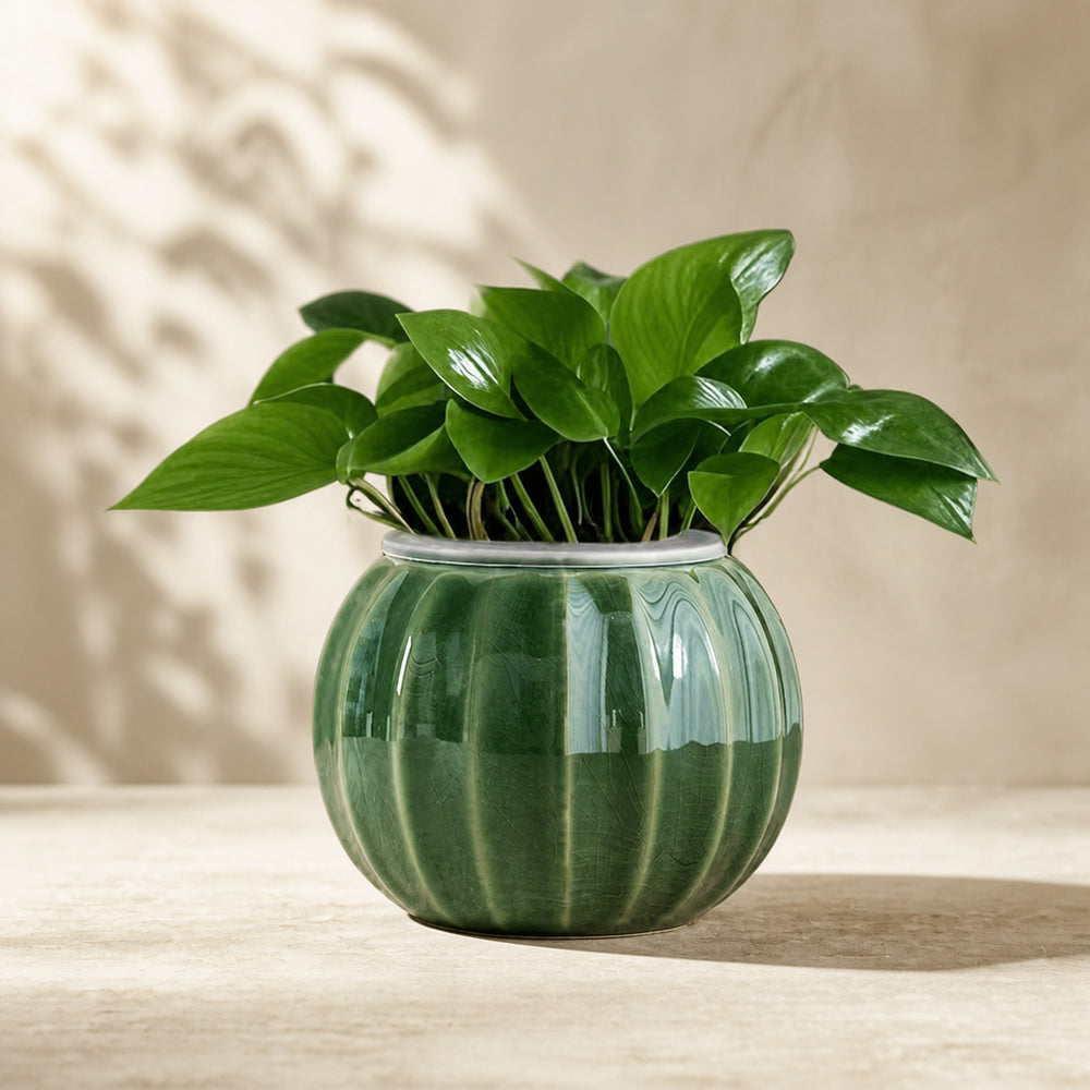 Ribbed Ball Ceramic Planter – Forest Green Crackle Glaze