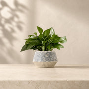Floral Ceramic Low Bowl Planter – Ribbed Base Indoor Pot