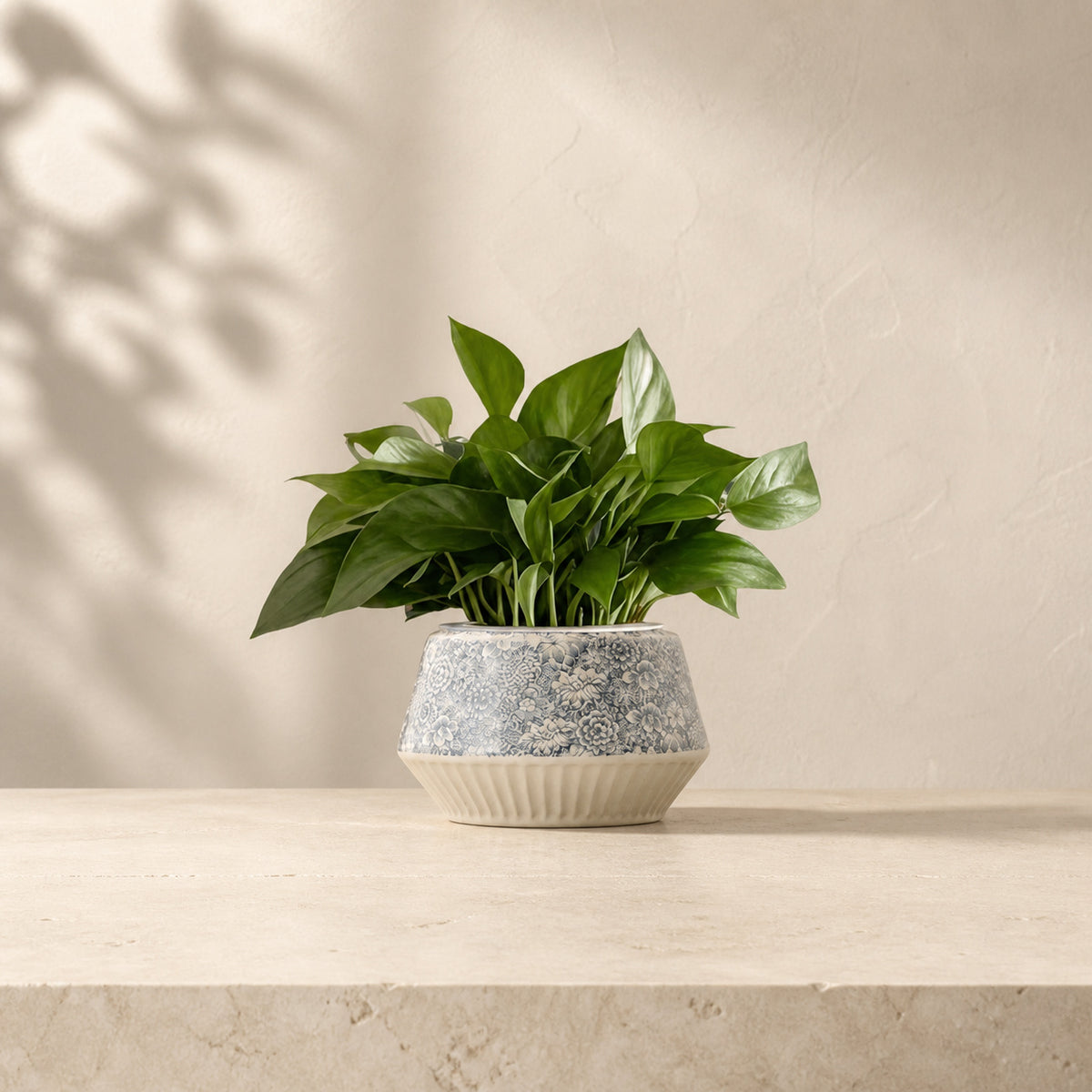 Floral Ceramic Low Bowl Planter – Ribbed Base Indoor Pot