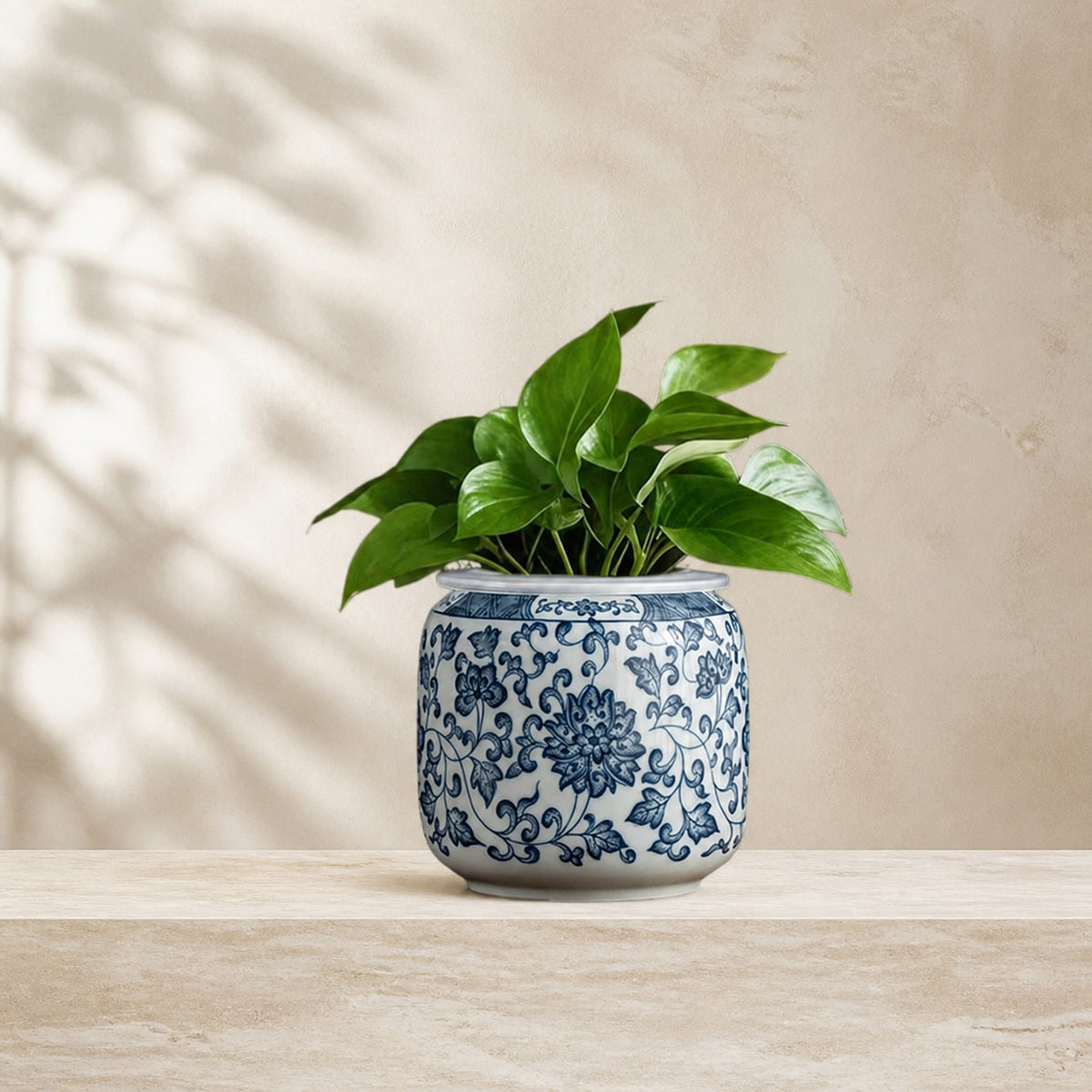 Planters