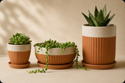 Terra Rib Product – Rounded Corners